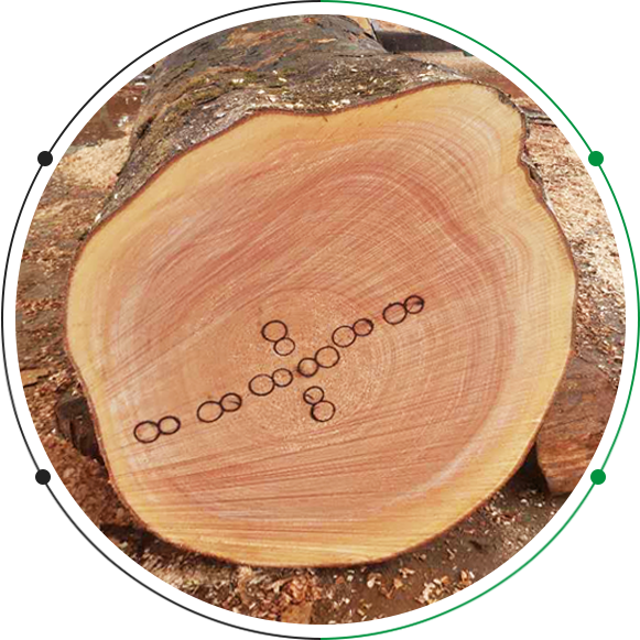 不銹鋼牙板、不銹鋼搓絲板定制